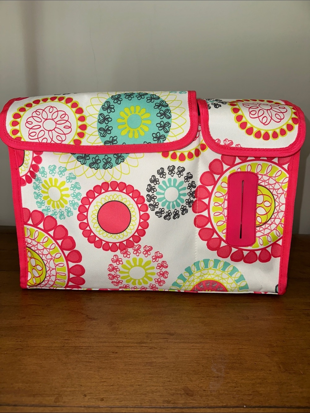 Thirty-One Pack ‘N Pull Caddy Car Organizer